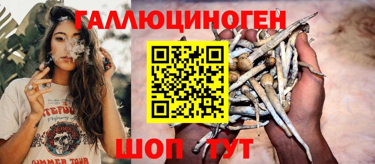 Галлюциногенные грибы Psilocybe  купить наркоту  Заречный  Вход с VPN 