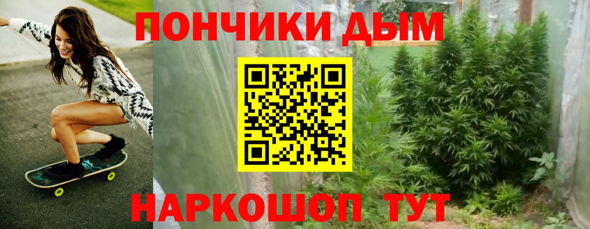 Бошки Шишки ГИДРОПОН  Марихуана марихуана  Вход с VPN  Заречный  Бошки марихуана White Widow 